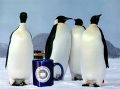 Penguin mug.jpg