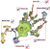 ZOoTmap-1.jpg