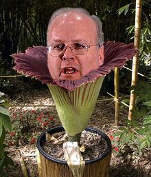 CorpseFlower.jpg