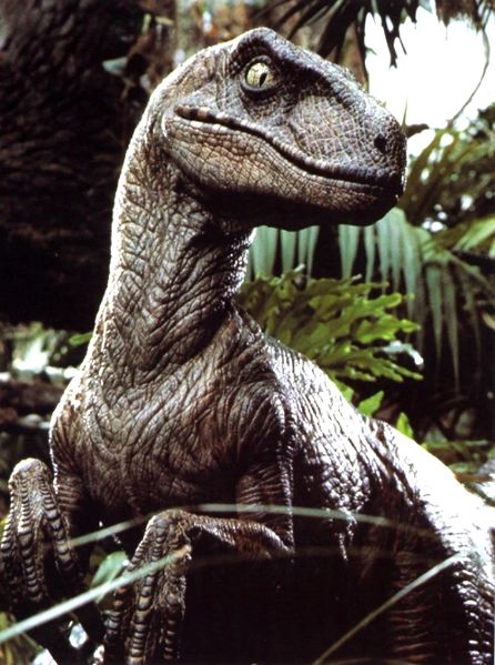File:Velociraptor.jpg