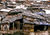 India-IT-slums.jpg