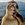 Monkey Thinking.png