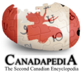 Thumbnail for version as of 22:08, 8 February 2025