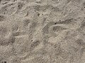 Thumbnail for version as of 18:29, 31 December 2011