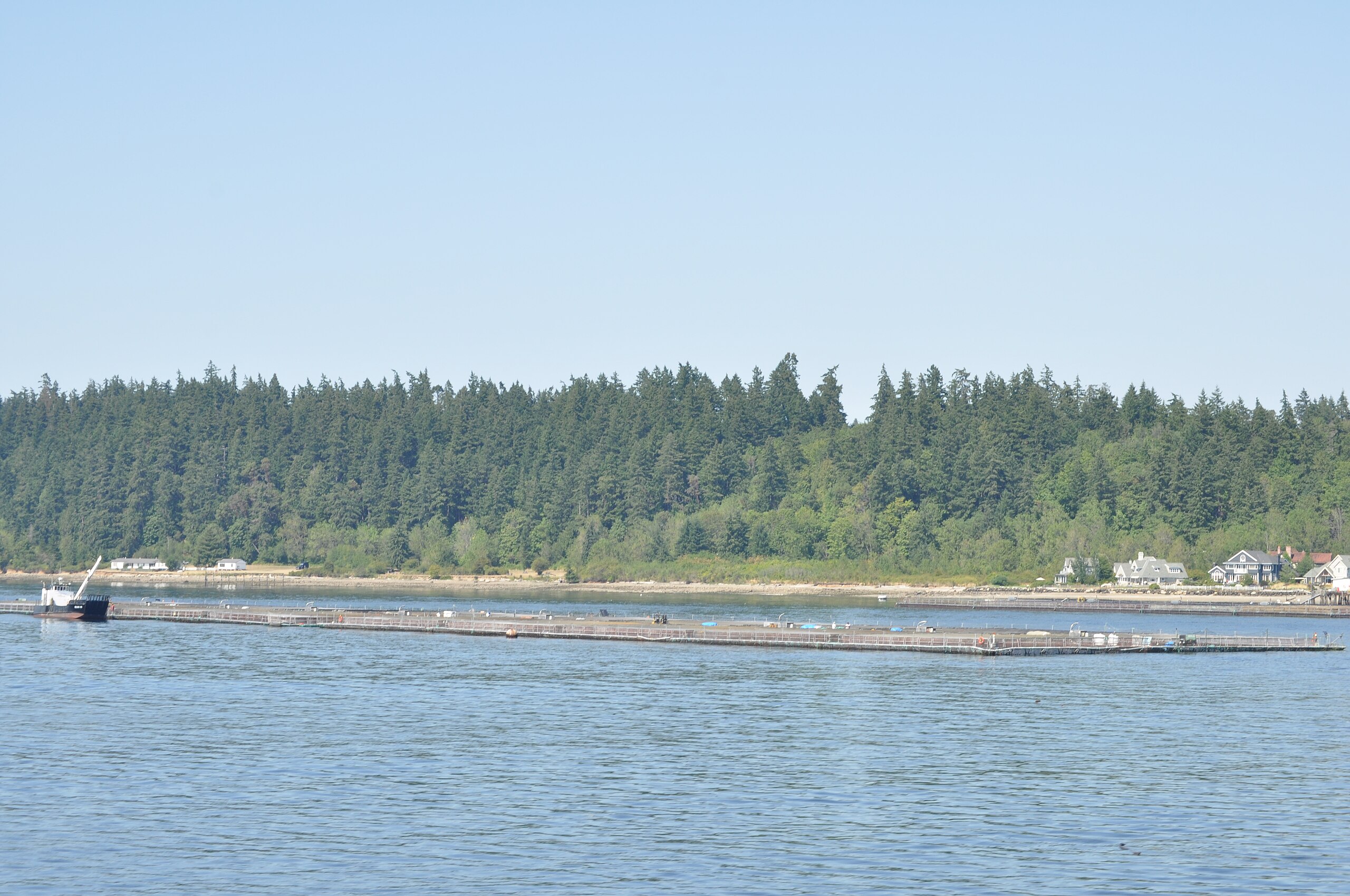 2560px-Floating_aquaculture_in_Puget_Sound_02.jpg