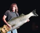 "The Gimp" - tribute of "Cliff Williams' Bass Guitar" by Severian
