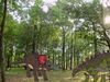 Clairvoyance at the dinosaurs 1.jpg