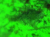 Greenacid.PNG