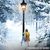 ChroniclesOfNarnia 300x298.jpg