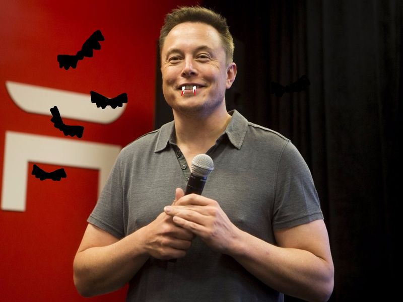File:Elon Musk Bats.jpg