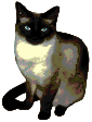 Cat Niobe vectorized.svg