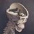 Lizards-brain.jpg