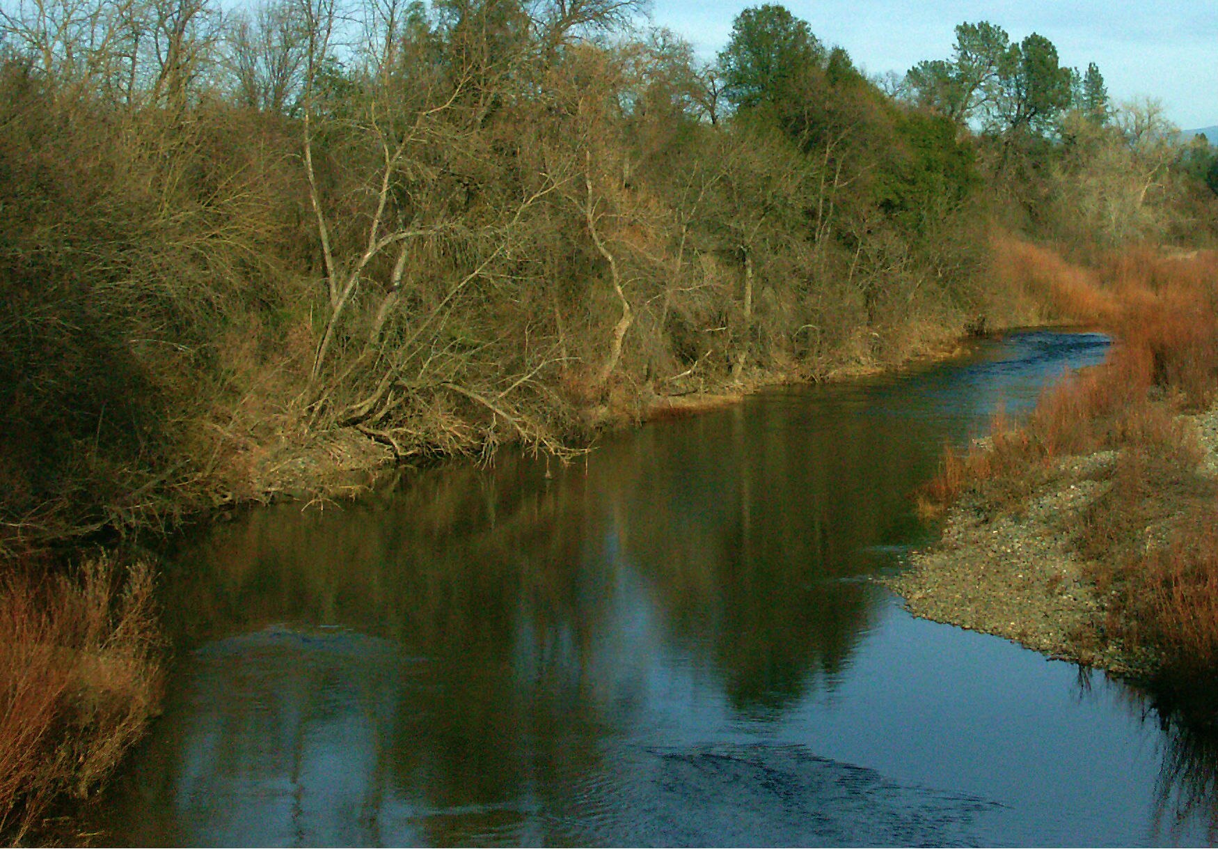 Cow Creek Shasta County California.jpg