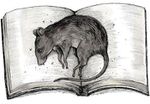 Dead-rat-on-book.jpg