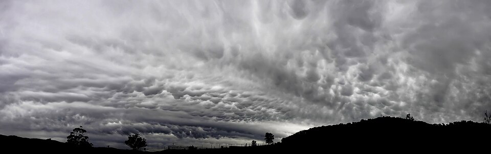 File:Mammatus cloud panorama.jpg