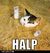 Halp.jpg