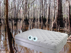 Mattressinswamp.png