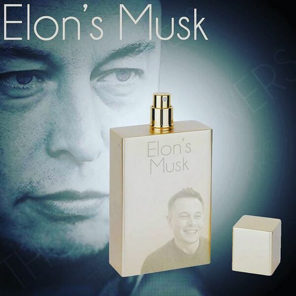 File:Elons Musk.jpg