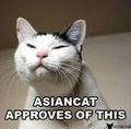 Asiancat.jpg
