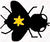 Sun bee cave.jpg