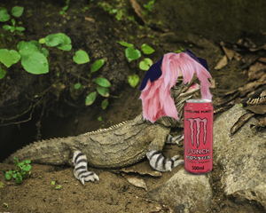 this is exactly what i look like