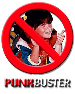Punk Buster