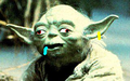 Amazed, Yoda is.