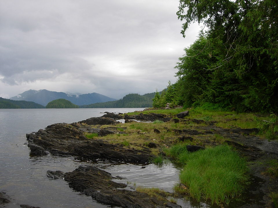 960px-Tongass_National_Forest_4.jpg