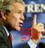 Bush via the daily mirror2.JPG