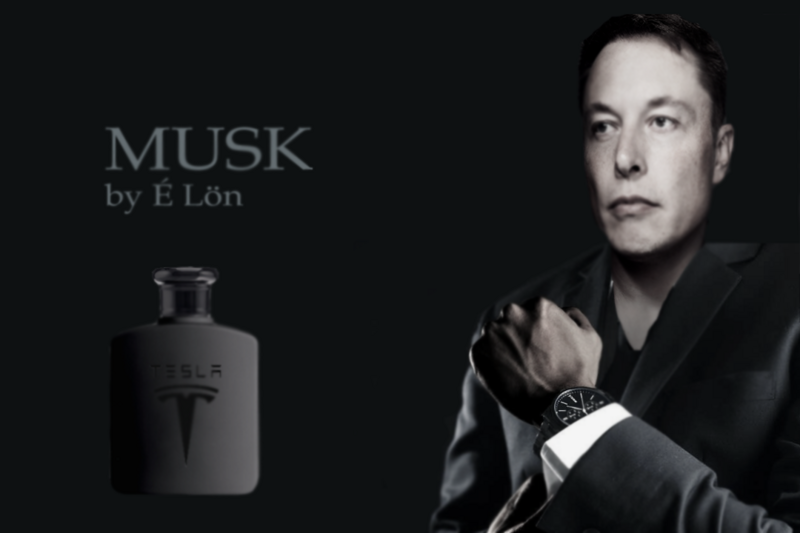 File:Elons Musk.png