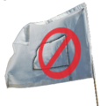 A flag at a no flag rally