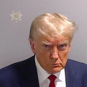 Donald Trump mug shot.jpg