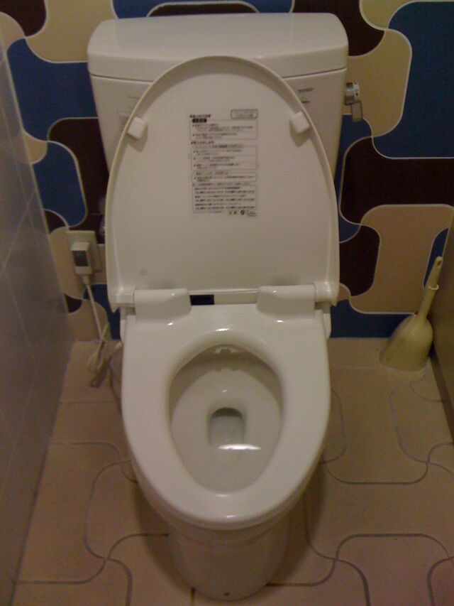 Toilets in Japan - Uncyclopedia, the content-free encyclopedia