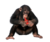 Sucide monkey.png