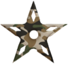 Camostar.png