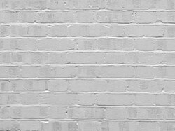 Paint Drying promotional still.jpg