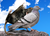 RealLifeRatPigeon.png