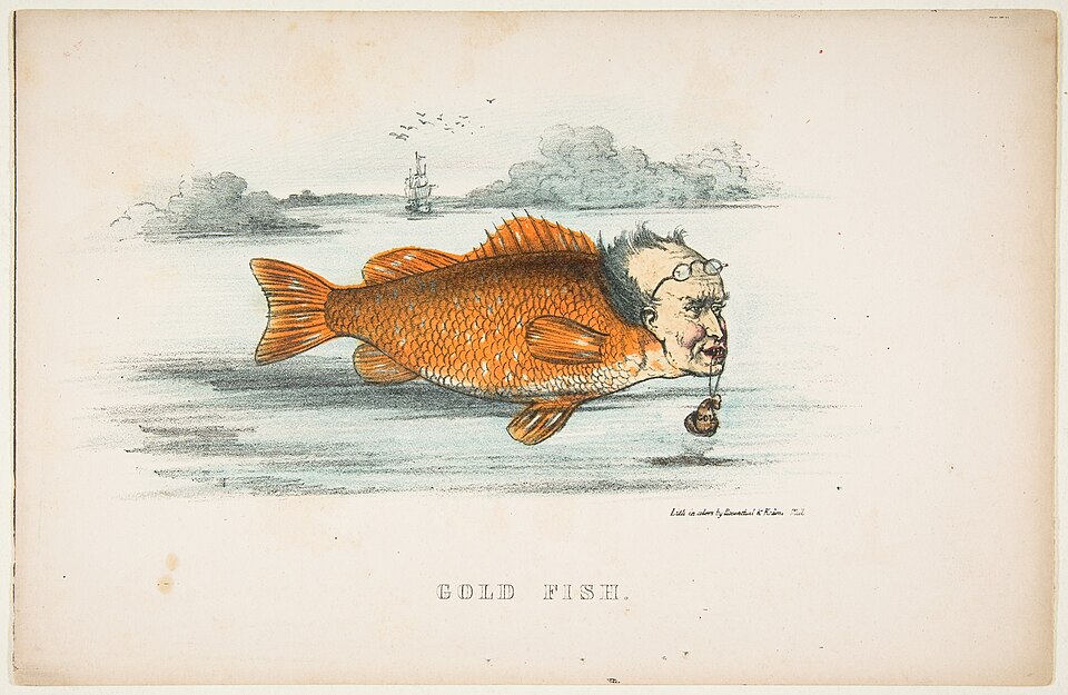 Gold Fish (Francis M. Drexel), from The Comic Natural History of the Human Race MET DP813089.jpg