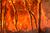 Raging fire.jpg