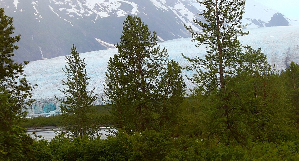 960px-Chugach_National_Forest%2C_Spencier_Glacier_ENBLA09.jpg