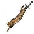 Cat sword.jpg