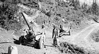August 1984 - captured field guns in Jaji, Paktia.jpg