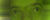 Spiteful multilit.jpg