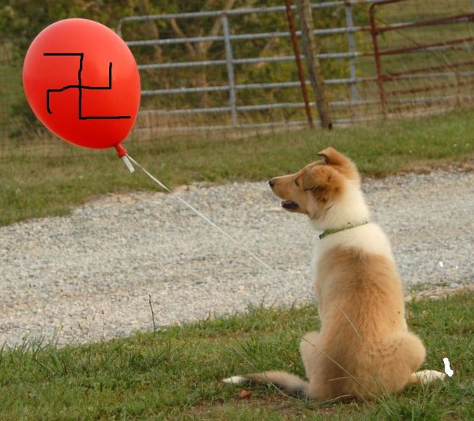 File:Dog and balloon.jpg