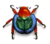 Wikimedia beetle.png
