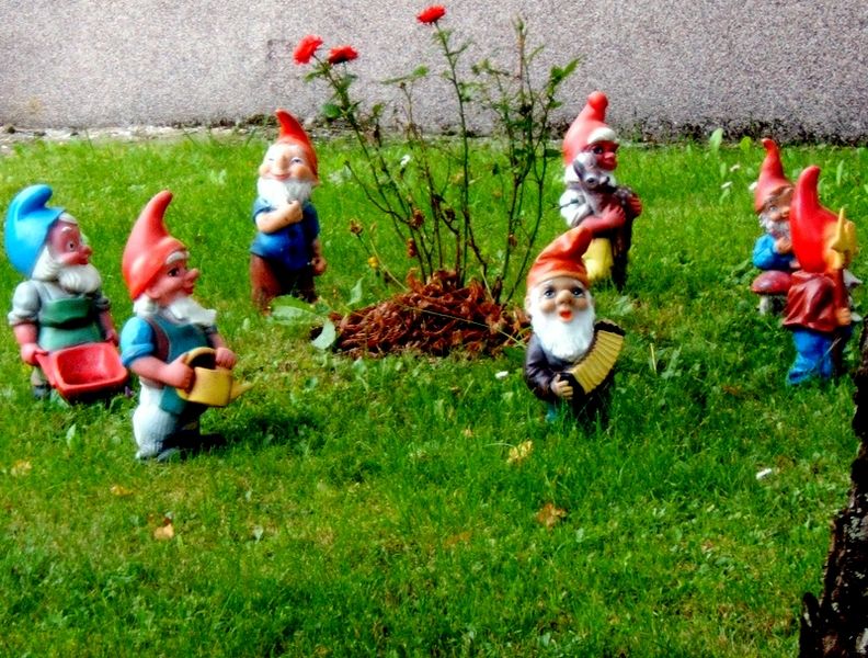 File:7 garden gnomes.jpg