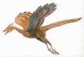 Archaeopteryx.gif