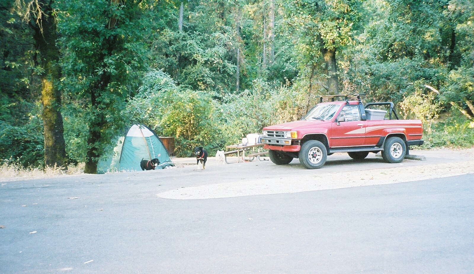 Shasta Lake Bailey Cove.JPG