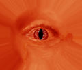 The Eye of Cainad Sauron, used in my Poo Lit Suprise entry