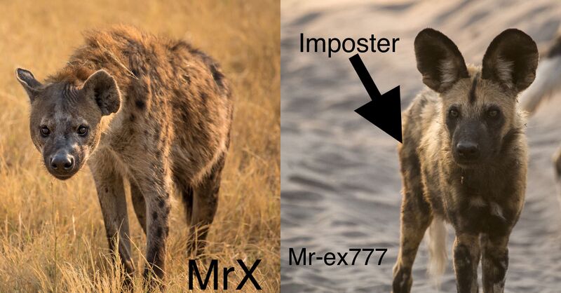 File:MrX vs Mr-ex777.jpeg